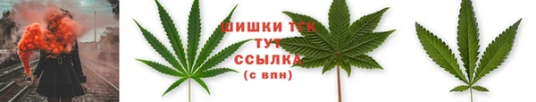 ПСИЛОЦИБИНОВЫЕ ГРИБЫ Абаза