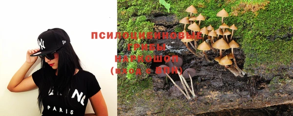 ПСИЛОЦИБИНОВЫЕ ГРИБЫ Абаза