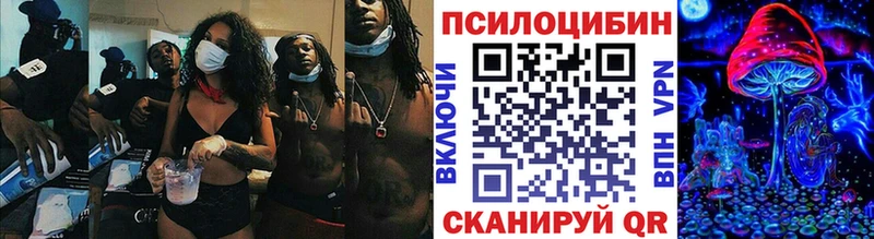 Галлюциногенные грибы мицелий  ссылка на мегу маркетплейс  Черкесск  как найти наркотики 