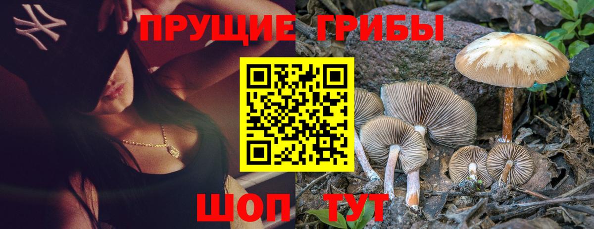 Псилоцибиновые грибы мицелий  Вход с VPN  Черкесск 
